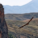 Vrije opdracht - Martin van der Kemp