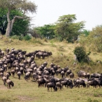 Vrije opdracht - Nico Tiemessen