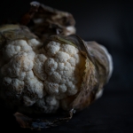 Voedsel - Leontine Ratering