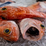 Voedsel - Linda Overbeek