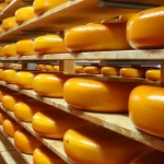 Voedsel - Michel Schwartz