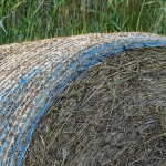 Voedsel - Michiel Hageman