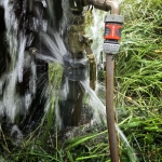 Verbinding - Anne Kiwitz