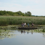 Verbinding - Jos Palm