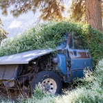 Verbinding - Michel Schwartz