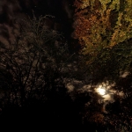 Avond/nacht - Bert Hobelman