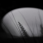 Avond/nacht - Paul Roelofs