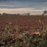 Geloof - Anne Kiwitz