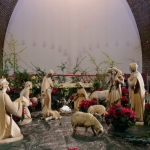 Geloof - Nico Tiemessen