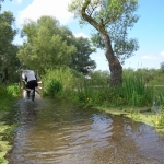 Schoenen en Lopen - Jos Palm