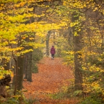 Schoenen en Lopen - Karin Ormel