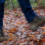Schoenen en Lopen - Martin van der Kemp