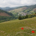 Stilte - Anne Kiwitz