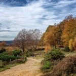 Stilte - Martin van der Kemp