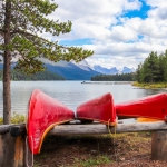 Stilte - Michel Schwartz