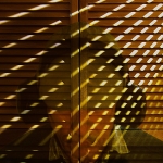 Stilte - Willie Graat