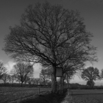 Stilte - Willie Graat