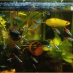 Opsluiten/Opgesloten - Anne Kiwitz