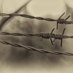 Opsluiten/Opgesloten - Hennie Jansen