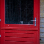 Opsluiten/Opgesloten - Karin Ormel