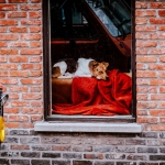 Opsluiten/Opgesloten - Linda Overbeek