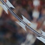 Opsluiten/Opgesloten - Linda Overbeek