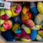 Opsluiten/Opgesloten - Michel Schwartz