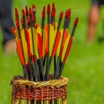 Opsluiten/Opgesloten - Michel Schwartz