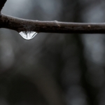 Opsluiten/Opgesloten - Paul Roelofs