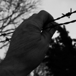 Opsluiten/Opgesloten - Willie Graat