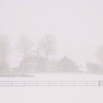 Opsluiten/Opgesloten - Willie Graat