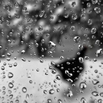 Beweging - Anne Kiwitz