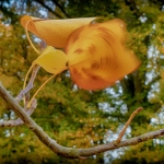 Beweging - Anne Kiwitz