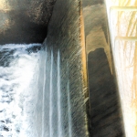 Beweging - Frank van Alen