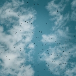 Beweging - Jan Hoetink