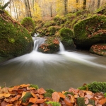 Beweging - Karin Ormel