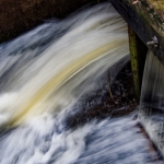 Beweging - Martin van der Kemp