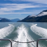 Beweging - Michel Schwartz