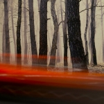 Beweging - Willie Graat