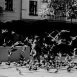 Beweging - Monique Hofstad