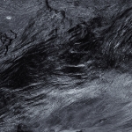 Bomen details - Michiel Hageman