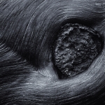 Bomen details - Michiel Hageman