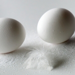 Ei - Martin van der Kemp