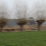 ICM - Petra van Loon 