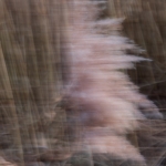 ICM - Nico Tiemessen