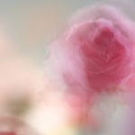 ICM - Leontien Ratering