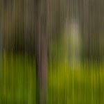 ICM - Linda Overbeek