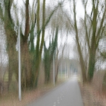 ICM - Martin van der Kemp