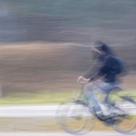 ICM - Michel Schwartz