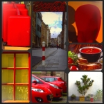 Color walk - Willie Graat